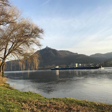 Ferienhaus Rheinperle Mit Garten In Remagen Am Rhein - Naehe Bonn Villa Bagian luar foto