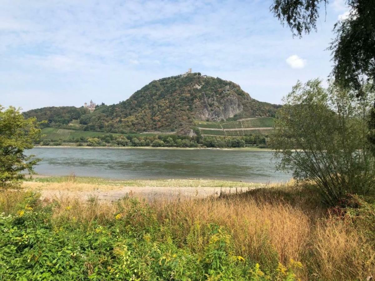 Ferienhaus Rheinperle Mit Garten In Remagen Am Rhein - Naehe Bonn Villa Bagian luar foto