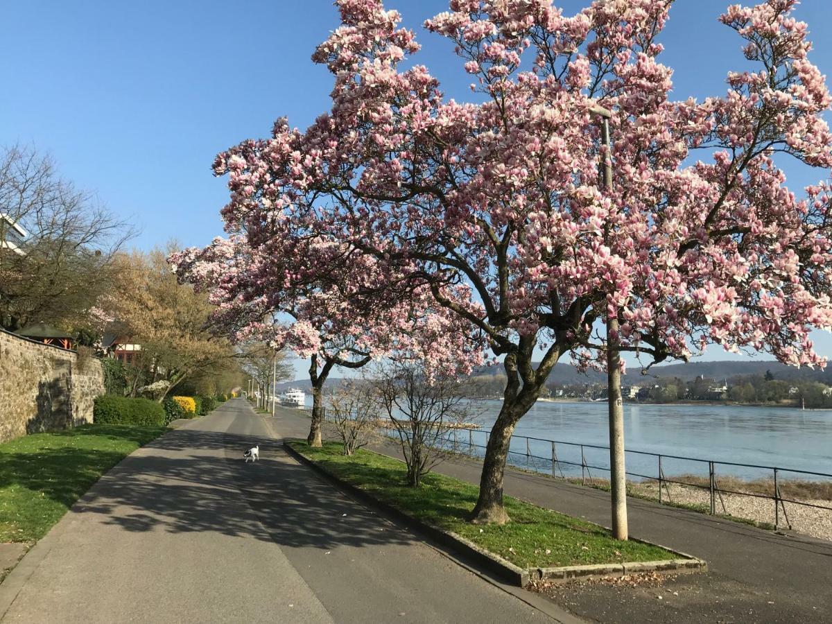 Ferienhaus Rheinperle Mit Garten In Remagen Am Rhein - Naehe Bonn Villa Bagian luar foto